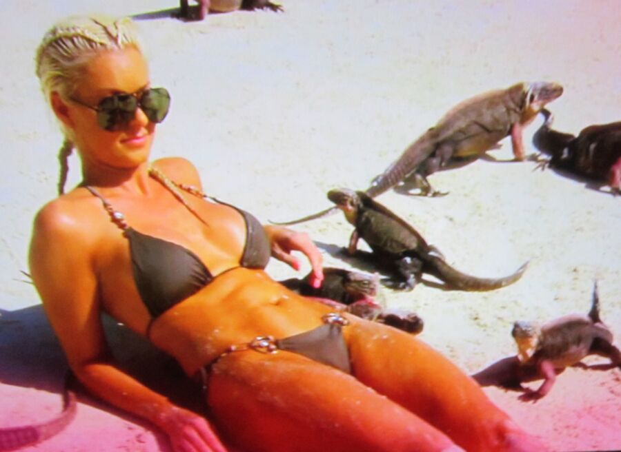 Free porn pics of Maryse Oullete Total Divas Tiny Bikini 2 of 12 pics