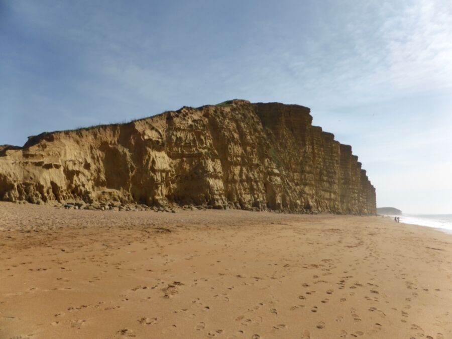 Free porn pics of UPSKIRTS of MY MILF TAKEN at BROADCHURCH (West Bay) 1 of 9 pics