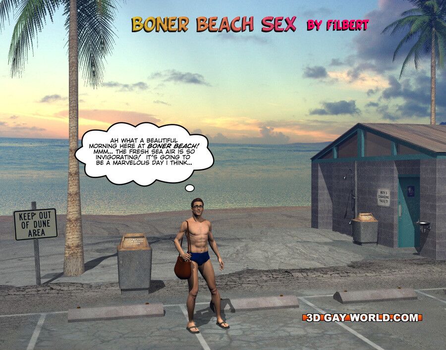 Free porn pics of Boner Beach Sex 1 of 40 pics