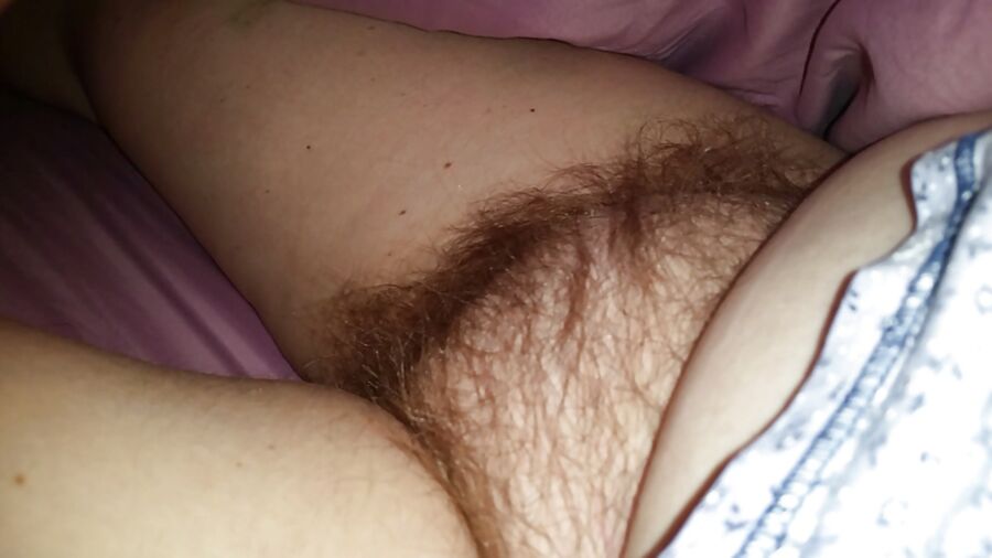 Free porn pics of Hairy Pussy Amateur 22 of 31 pics