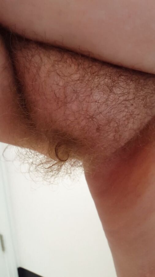 Free porn pics of Hairy Pussy Amateur 13 of 31 pics