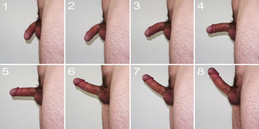 Free porn pics of Stages of erection 2 of 8 pics
