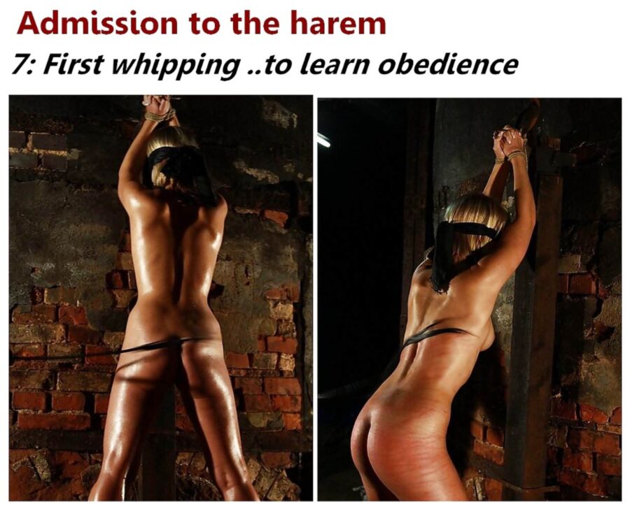 Free porn pics of BDSM admission to the harem. 7 of 8 pics