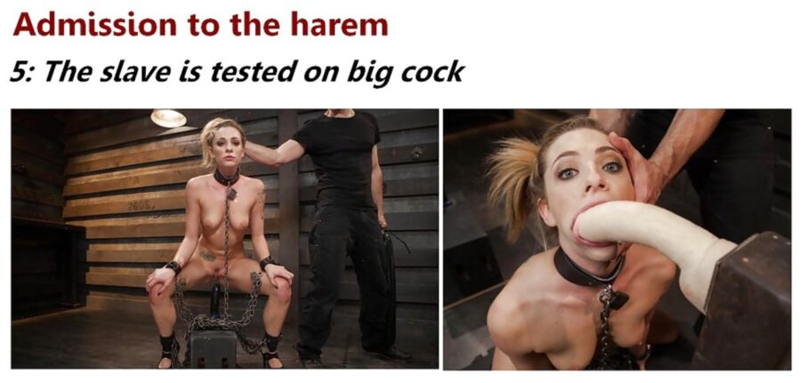 Free porn pics of BDSM admission to the harem. 5 of 8 pics
