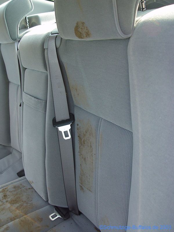Free porn pics of Bad German Blonde cleans Muddy buffalo sneakers on the car seats 16 of 26 pics