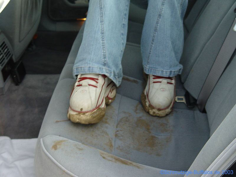 Free porn pics of Bad German Blonde cleans Muddy buffalo sneakers on the car seats 6 of 26 pics