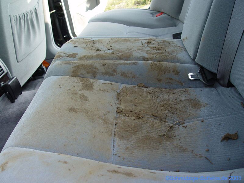 Free porn pics of Bad German Blonde cleans Muddy buffalo sneakers on the car seats 15 of 26 pics
