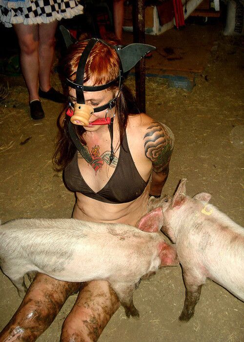 Free porn pics of Sows 6 of 8 pics