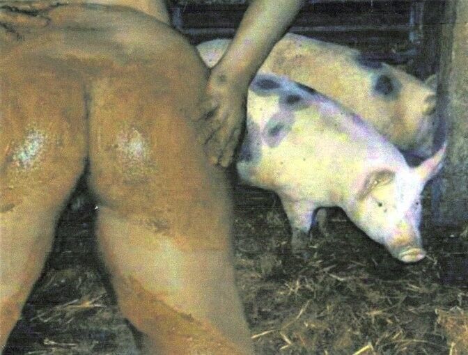 Free porn pics of Sows 1 of 8 pics