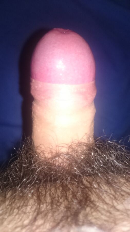 Free porn pics of My tiny hairy dick 10 of 14 pics