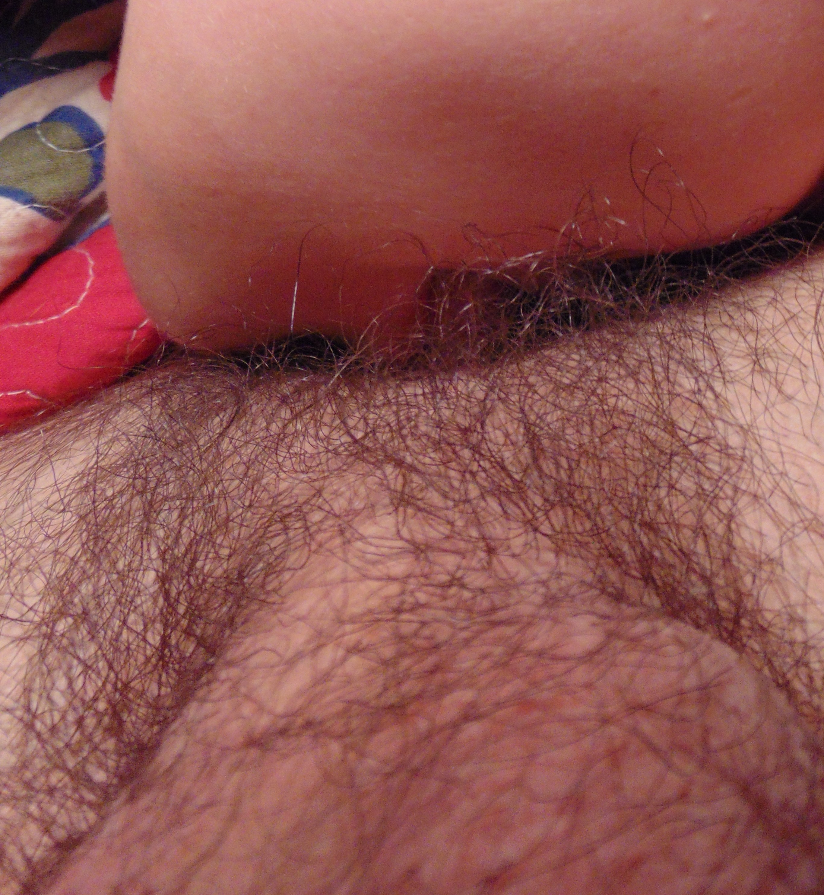 Free porn pics of Wife Spreads Her Hairy Pussy 12 of 12 pics