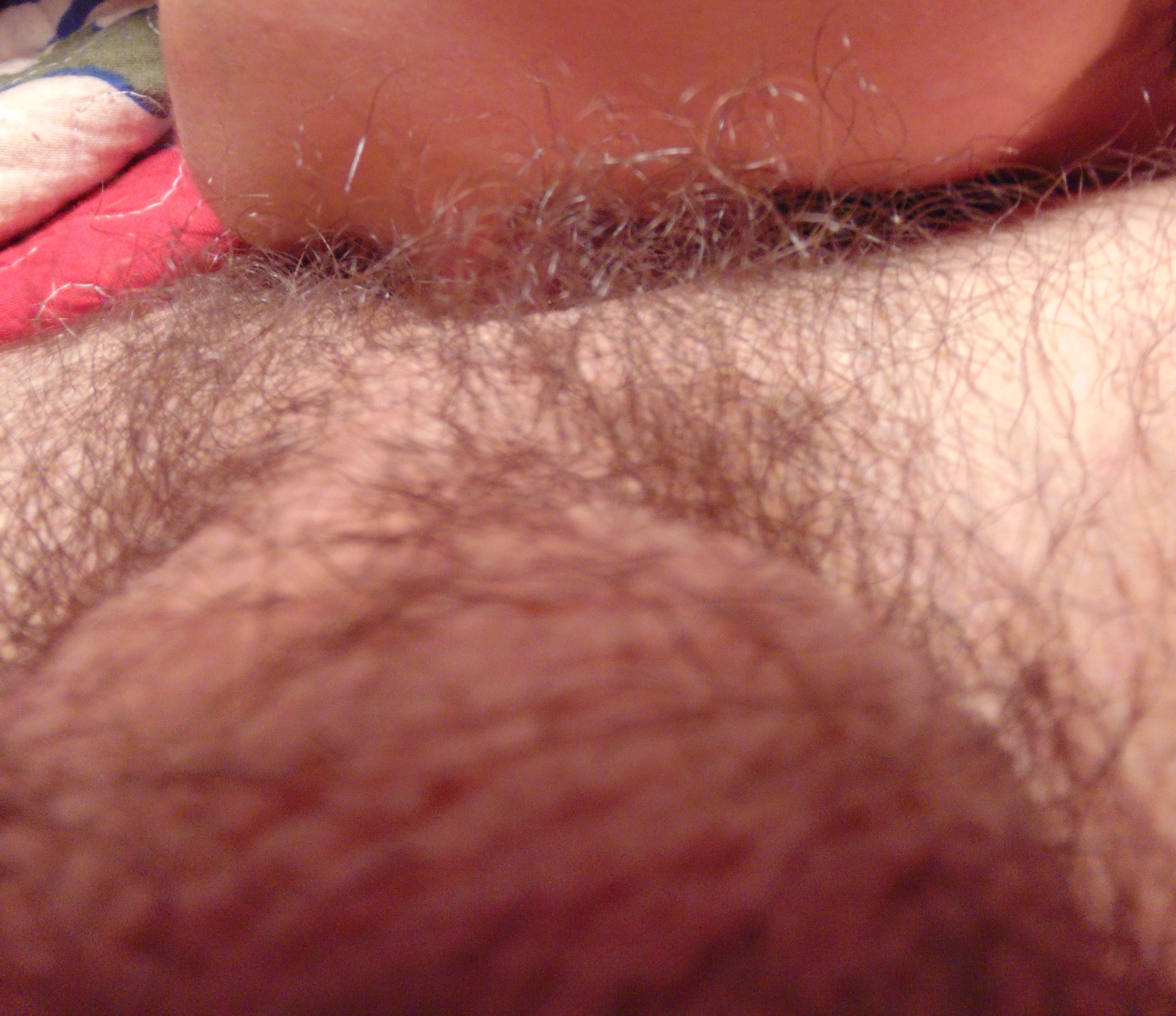 Free porn pics of Wife Licks My Hairy Asshole 10 of 10 pics