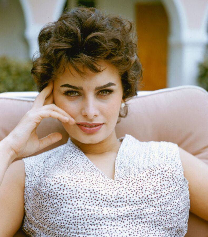 Free porn pics of Retro beauty Sophia Loren 7 of 167 pics