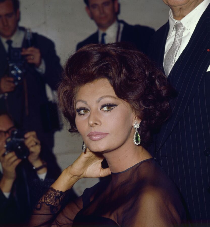 Free porn pics of Retro beauty Sophia Loren 4 of 167 pics