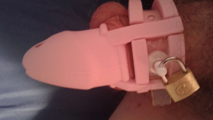 Free porn pics of New chastity device  3 of 3 pics