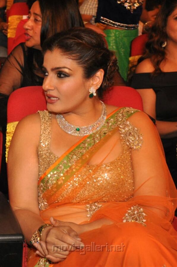 Free porn pics of Raveena Tandon: Gorgeous, Hot Bollywood Celeb Flaunting Curves 20 of 300 pics