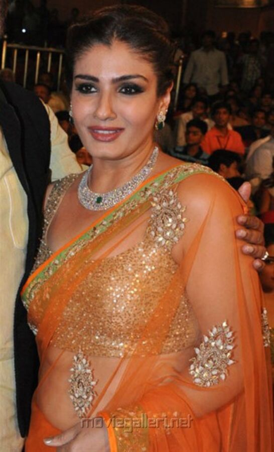 Free porn pics of Raveena Tandon: Gorgeous, Hot Bollywood Celeb Flaunting Curves 19 of 300 pics