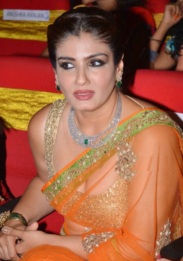 Free porn pics of Raveena Tandon: Gorgeous, Hot Bollywood Celeb Flaunting Curves 17 of 250 pics