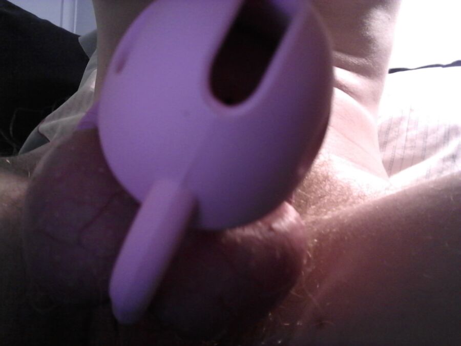 Free porn pics of New chastity device  2 of 3 pics