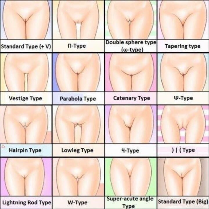 Free porn pics of Chose your Favourite Pussy Shape 2 of 2 pics