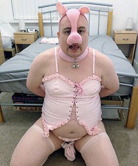 Free porn pics of Humiliation Hog Hotline 5 of 6 pics