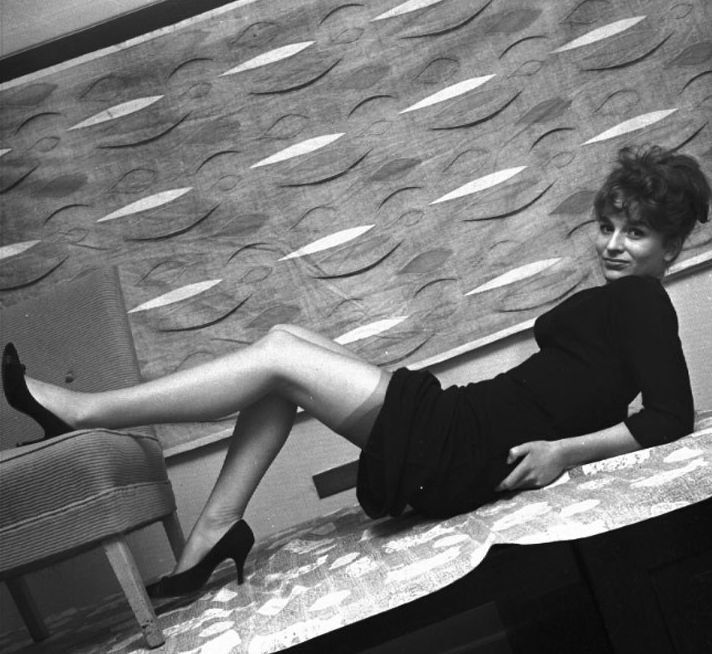 Free porn pics of UK Vintage Stockings Model Susan Douglas 5 of 428 pics