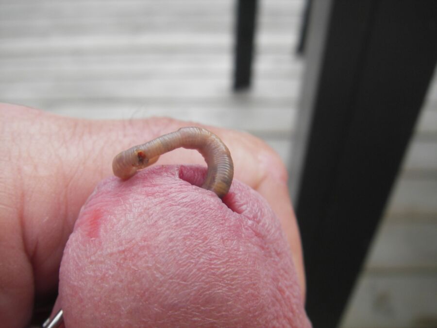 Free porn pics of Worms 4 of 28 pics