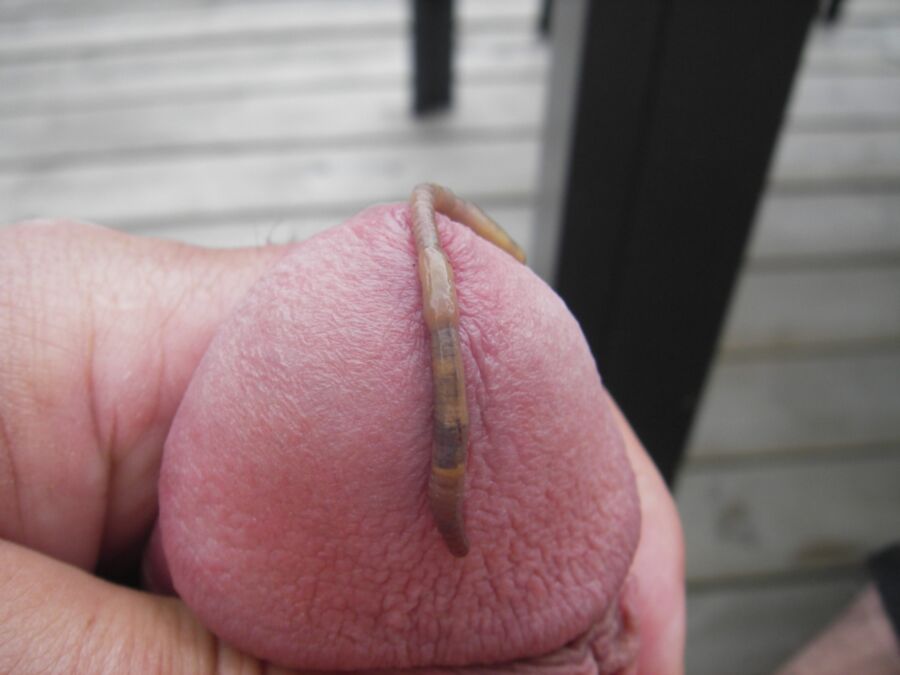 Free porn pics of Worms 2 of 28 pics