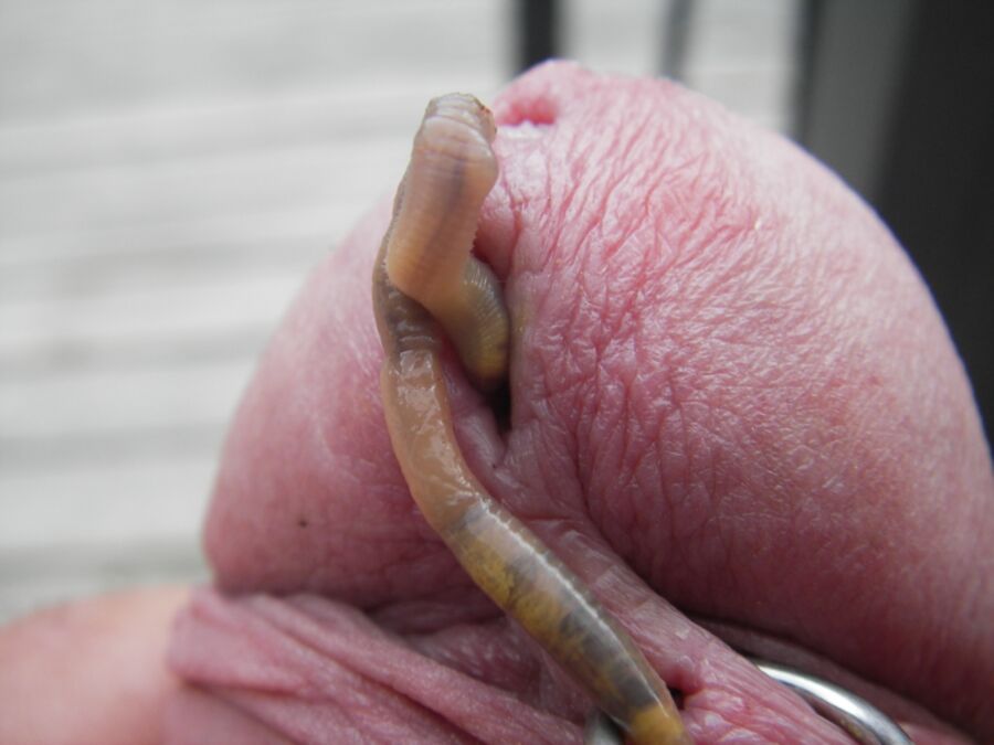 Free porn pics of Worms 9 of 28 pics