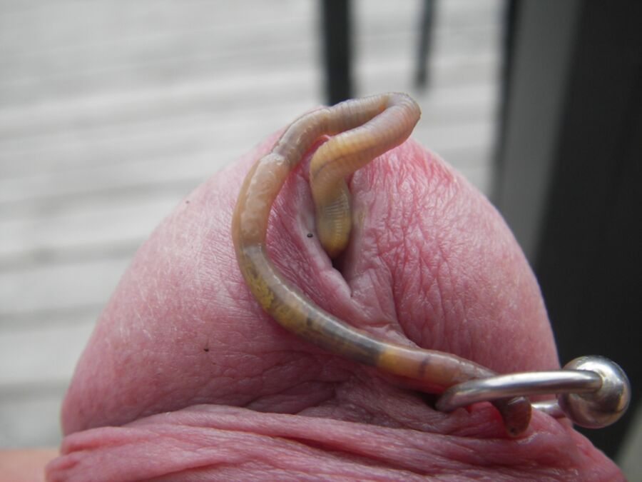 Free porn pics of Worms 8 of 28 pics