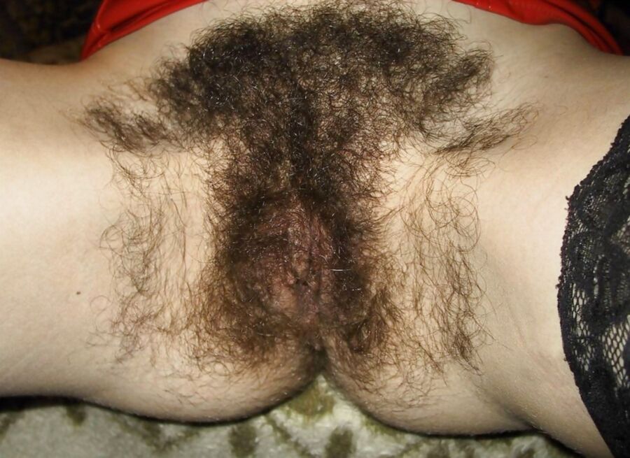 Free porn pics of lovely hairy pussy 2 of 78 pics