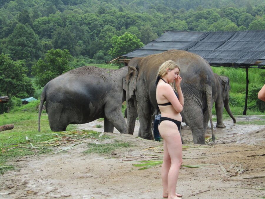 Free porn pics of Elephant Butts 3 of 53 pics