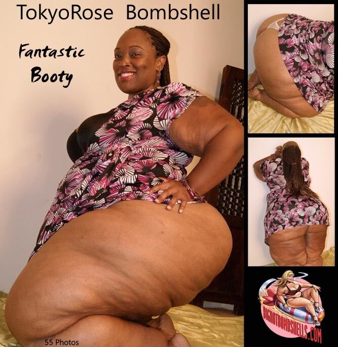 Free porn pics of Tokyo Rose Covers 6 of 27 pics