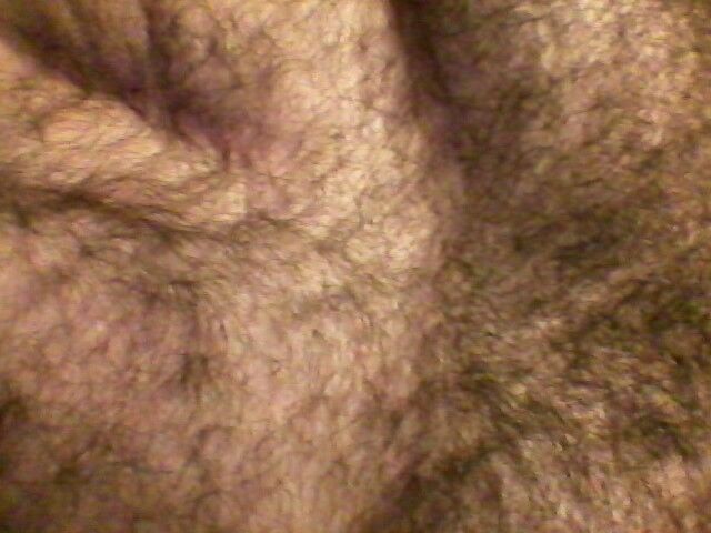 Free porn pics of me, the hairy pelt pics... 1 of 3 pics