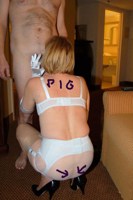 Free porn pics of pigs 1 of 1 pics