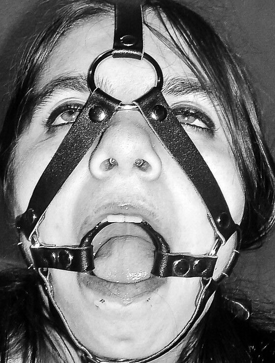 Free porn pics of Black & white headharness & ballgag headshots 11 of 26 pics