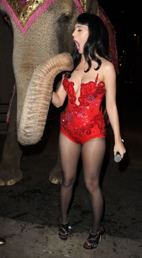 Free porn pics of Katy Perry 22 of 117 pics