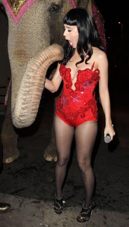 Free porn pics of Katy Perry 21 of 117 pics