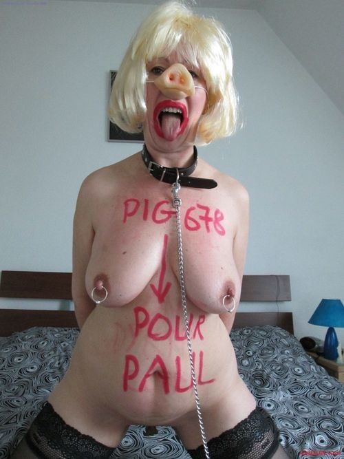 Free porn pics of Pigs - oink, oink! 10 of 44 pics