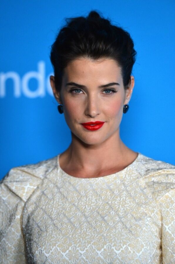 Free porn pics of Cobie Smulders, on top of the Hill 14 of 129 pics