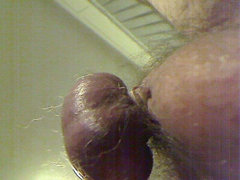 Free porn pics of castration tryout - binding them nuts off 2 of 8 pics