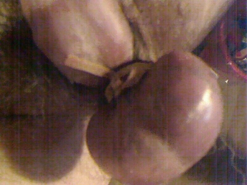 Free porn pics of castration tryout - binding them nuts off 1 of 8 pics