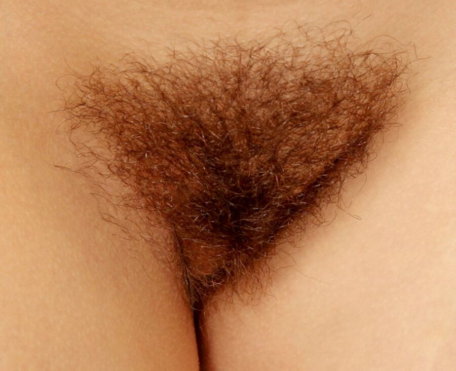 Free porn pics of Hairy close-ups 16 of 44 pics