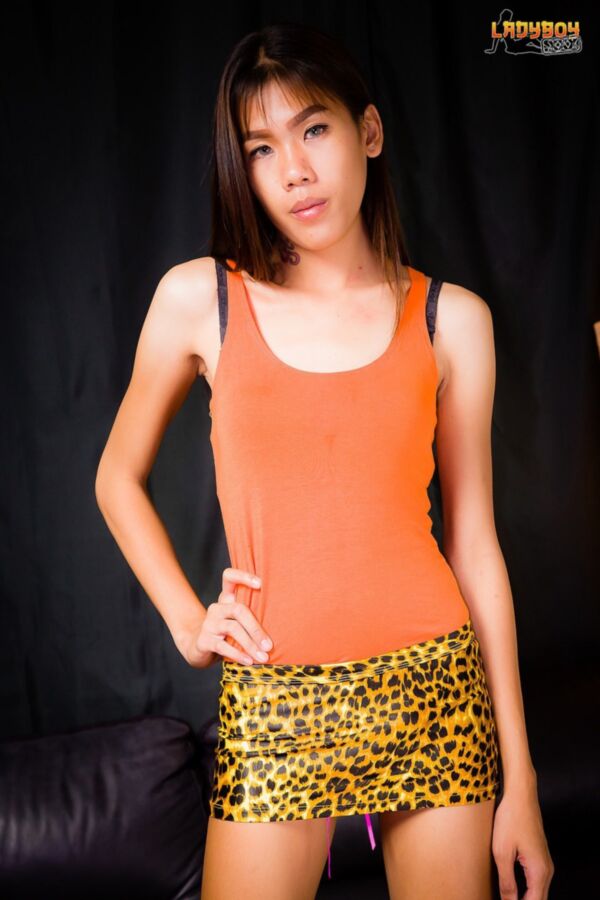 Free porn pics of Bip - Leopard MiniSkirt 6 of 112 pics