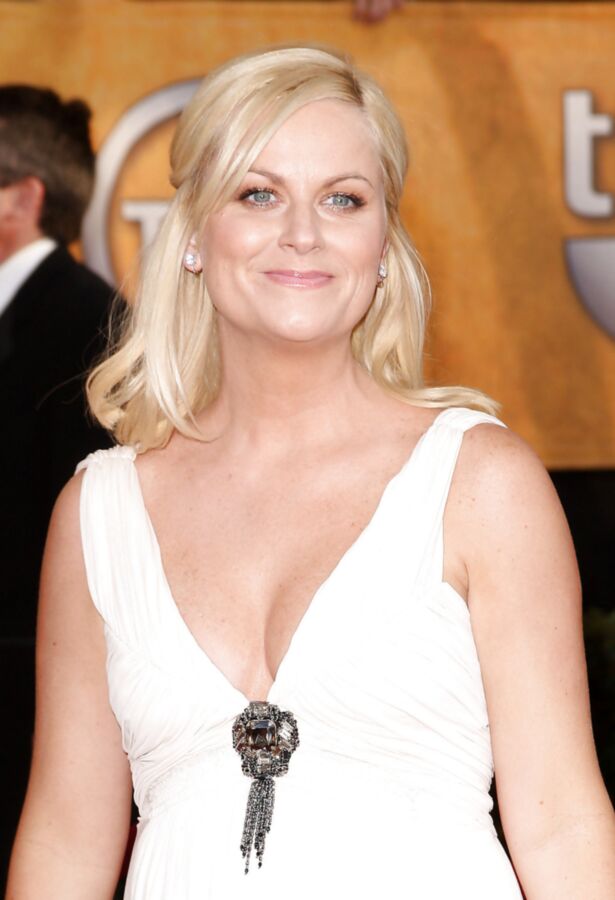 Free porn pics of Amy Poehler 19 of 31 pics