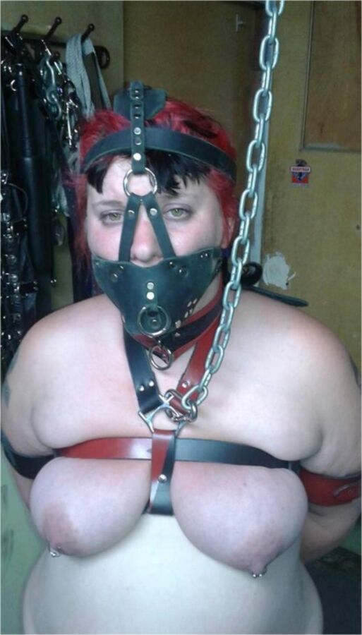 Free porn pics of rope is my bra aka pigface find the whore in Domination chatroom 21 of 30 pics