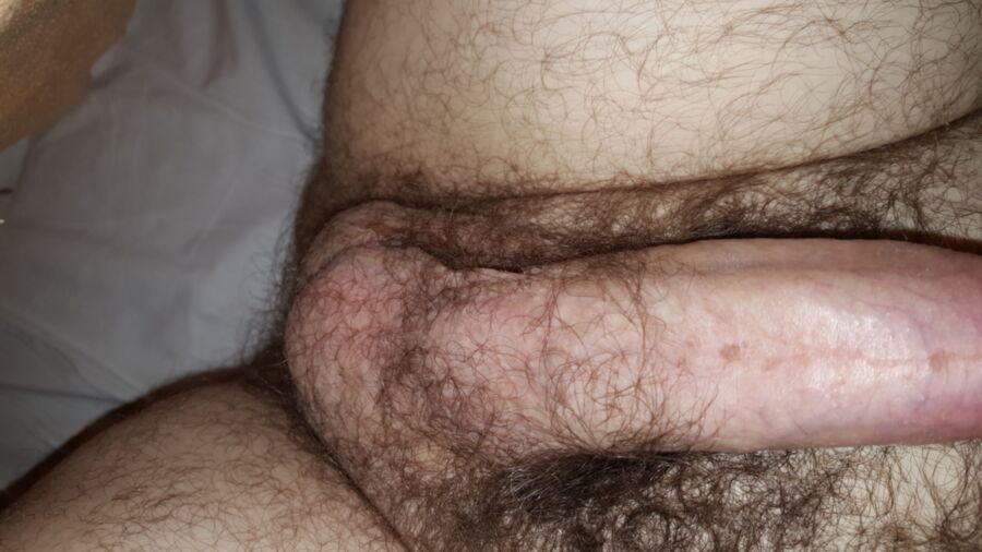 Free porn pics of My hairy dick and ass 9 of 13 pics