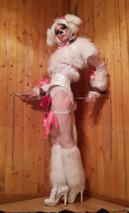 Free porn pics of Some new petplay photos of a pet sissy (me) 7 of 19 pics