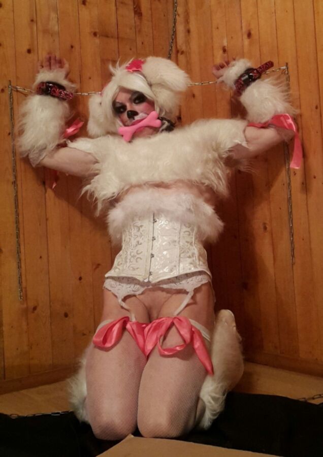 Free porn pics of Some new petplay photos of a pet sissy (me) 8 of 19 pics