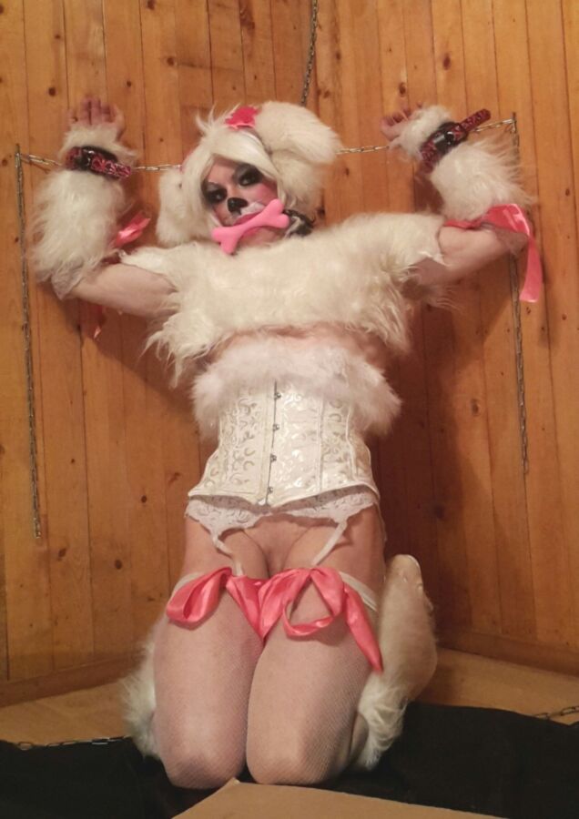 Free porn pics of Some new petplay photos of a pet sissy (me) 3 of 19 pics